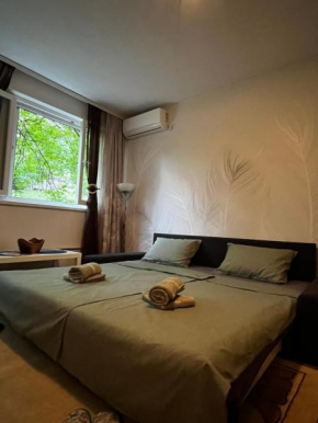 Apartman Sasha 2